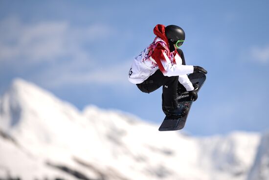 2014 Winter Olympics. Snowboarding. Men. Slopestyle. Finals