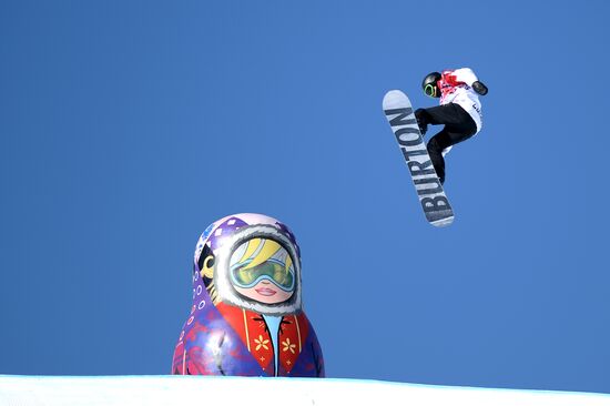 2014 Winter Olympics. Snowboarding. Men. Slopestyle. Finals