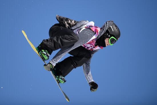 2014 Winter Olympics. Snowboarding. Men. Slopestyle. Finals