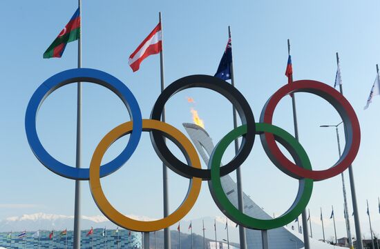 2014 Winter Olympics. Olympic Park's life