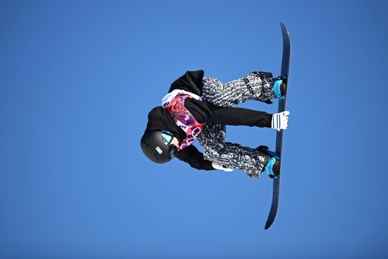 2014 Winter Olympics. Snowboarding. Men. Slopestyle. Finals