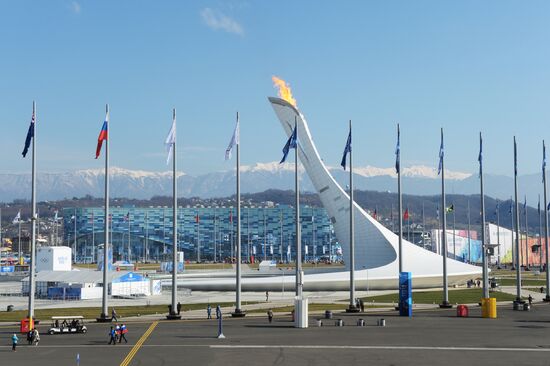 2014 Winter Olympics. Olympic Park's life