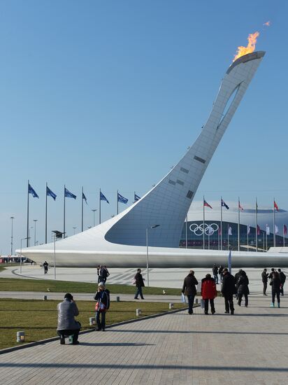 2014 Winter Olympics. Olympic Park's life
