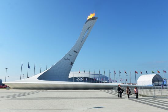 2014 Winter Olympics. Olympic Park's life