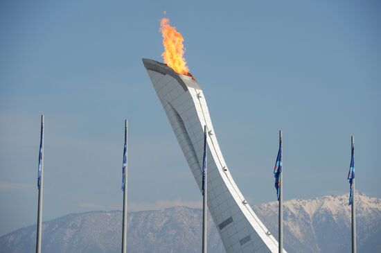 2014 Winter Olympics. Olympic Park's life