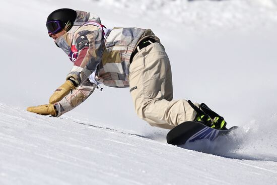 2014 Winter Olympics. Snowboarding. Men. Slopestyle. Finals