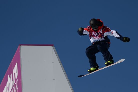 2014 Winter Olympics. Snowboarding. Men. Slopestyle. Finals