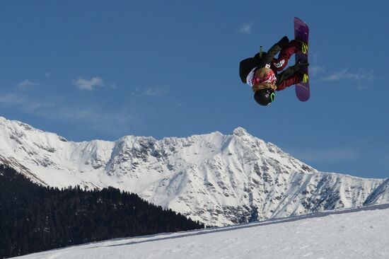 2014 Winter Olympics. Snowboarding. Men. Slopestyle. Finals
