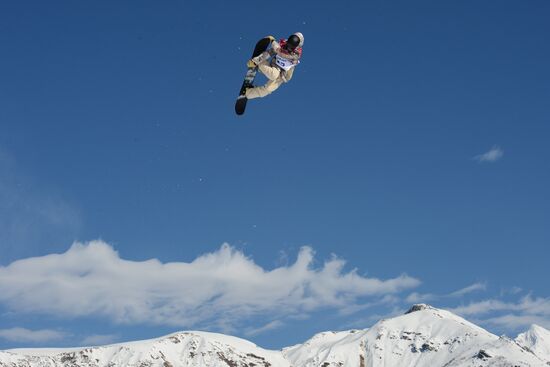 2014 Winter Olympics. Snowboarding. Men. Slopestyle. Finals