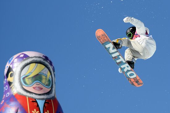 2014 Winter Olympics. Snowboarding. Men. Slopestyle. Final