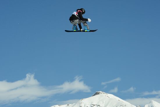 2014 Winter Olympics. Snowboarding. Men. Slopestyle. Final