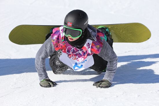 2014 Winter Olympics. Snowboarding. Men. Slopestyle. Finals