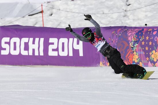 2014 Winter Olympics. Snowboarding. Men. Slopestyle. Finals