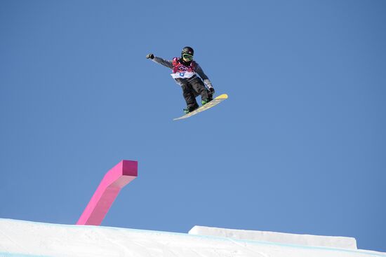 2014 Winter Olympics. Snowboarding. Men. Slopestyle. Finals