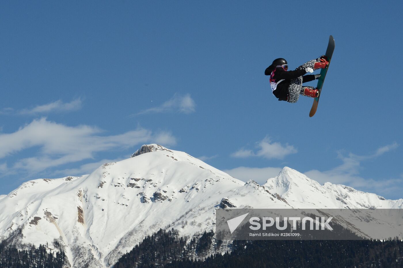 2014 Winter Olympics. Snowboarding. Men. Slopestyle. Finals