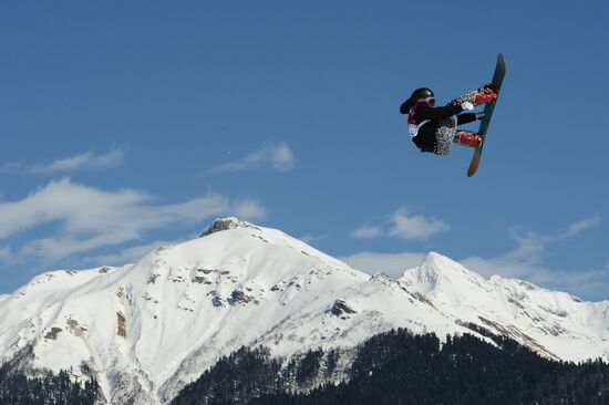 2014 Winter Olympics. Snowboarding. Men. Slopestyle. Finals