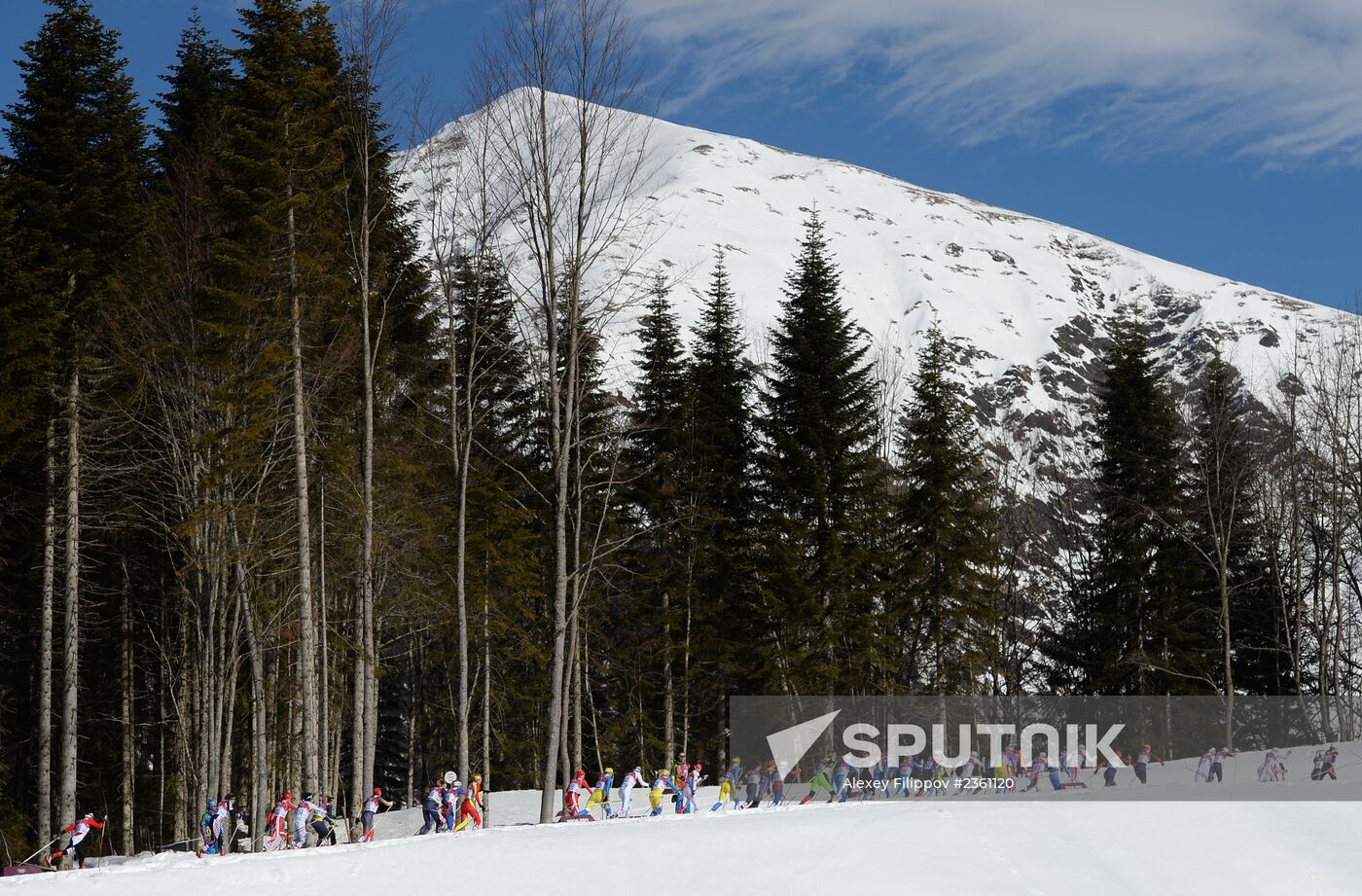 2014 Winter Olympics. Cross country skiing. Women. Skiathlon