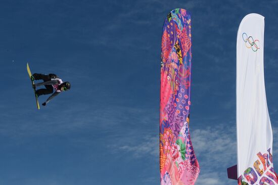 2014 Winter Olympics. Snowboarding. Men. Slopestyle. Finals