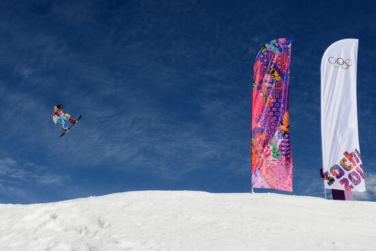 2014 Winter Olympics. Snowboarding. Men. Slopestyle. Finals