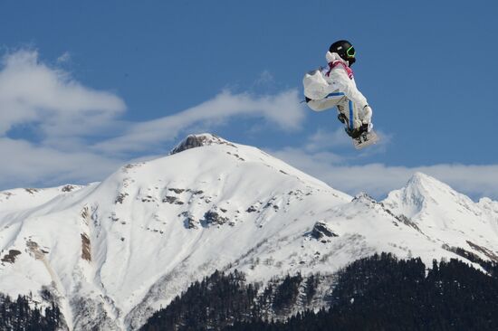 2014 Winter Olympics. Snowboarding. Men. Slopestyle. Finals