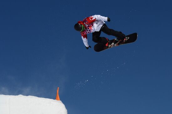 2014 Winter Olympics. Snowboarding. Men. Slopestyle. Finals