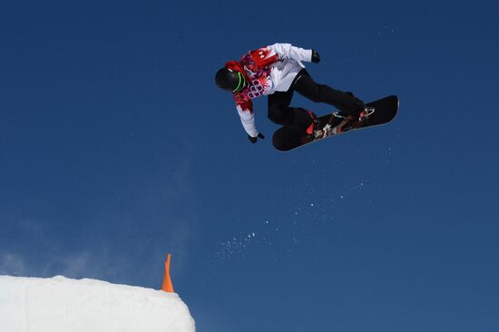 2014 Winter Olympics. Snowboarding. Men. Slopestyle. Finals