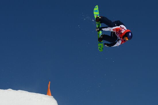 2014 Winter Olympics. Snowboarding. Men. Slopestyle. Finals