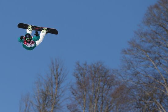 2014 Winter Olympics. Snowboarding. Men. Slopestyle. Finals