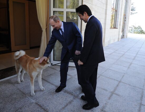 Vladimir Putin meets with Shinzo Abe