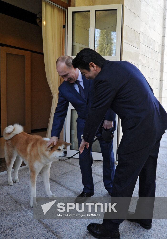 Vladimir Putin meets with Shinzo Abe