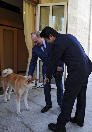 Vladimir Putin meets with Shinzo Abe