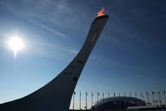 2014 Winter Olympic Games. Olympic Park