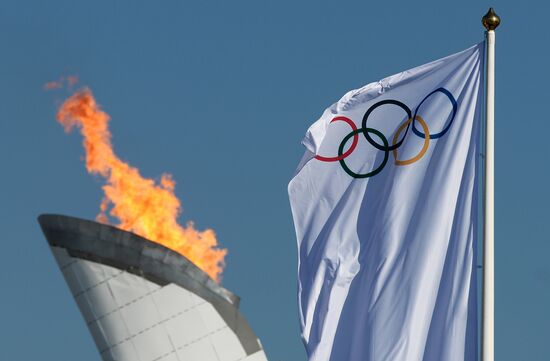 2014 Winter Olympic Games. Sochi's Olympic Park
