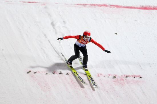 2014 Winter Olympics. Ski jumping. Men. Normal hill. Training session