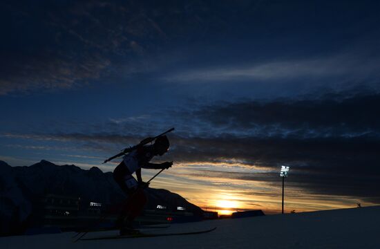 2014 Winter Olympics. Biathlon. Men. Sprint race
