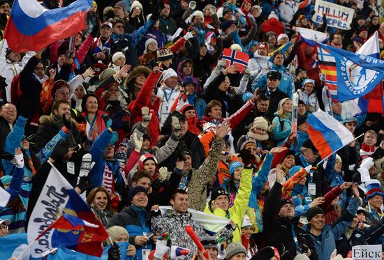 2014 Winter Olympics. Biathlon. Men. Sprint race