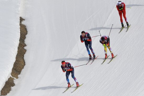 2014 Winter Olympics. Cross-country skiing. Men. Skiathlon