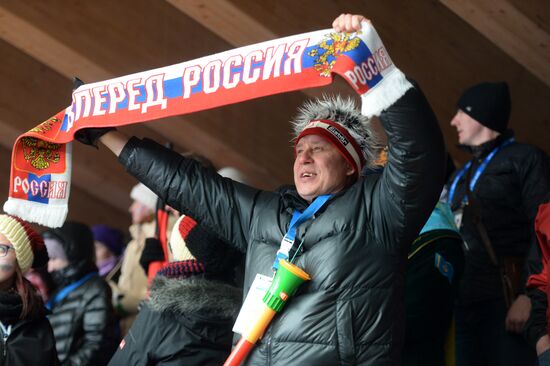 2014 Winter Olympics. Luge. Men. Day Two