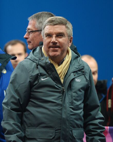 2014 Winter Olympics. Luge. Men. Day Two