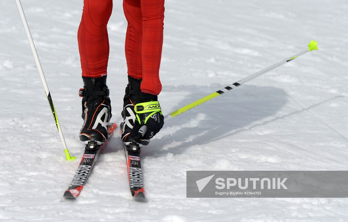 2014 Winter Olympics. Cross-country skiing. Sprint. Training sessions