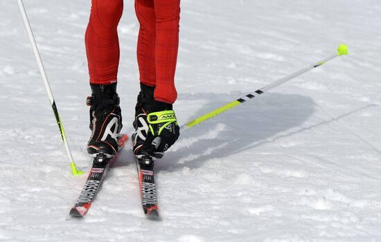 2014 Winter Olympics. Cross-country skiing. Sprint. Training sessions