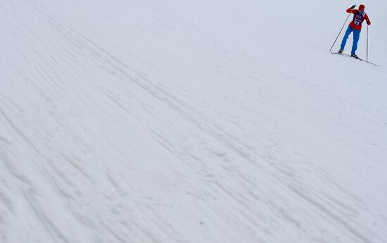 2014 Winter Olympics. Cross-country skiing. Sprint. Training sessions