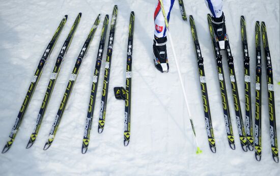 2014 Winter Olympics. Cross-country skiing. Sprint. Training sessions