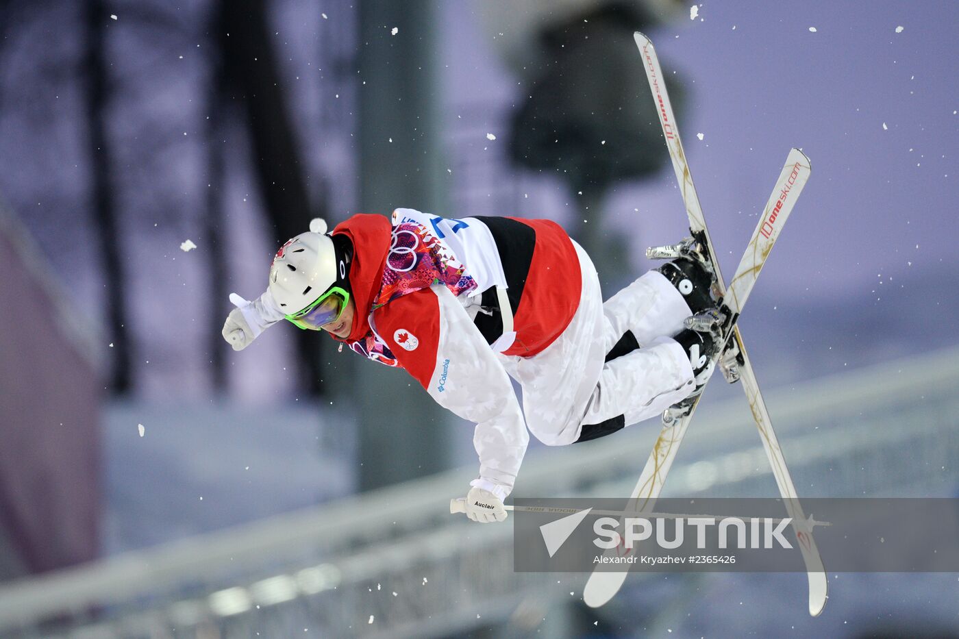 2014 Winter Olympics. Freestyle skiing. Men. Moguls