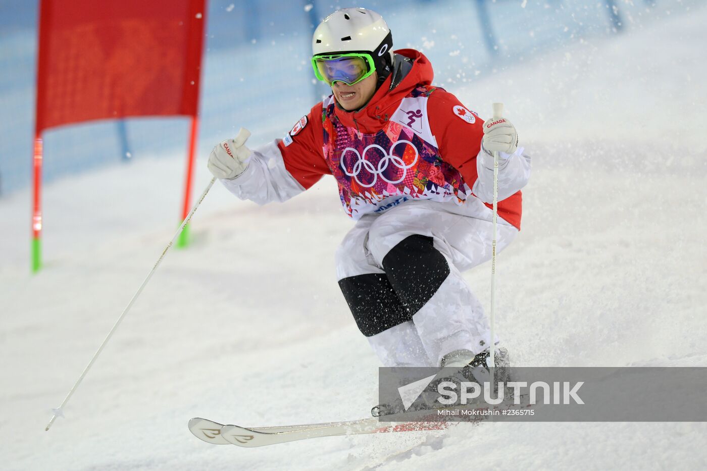 2014 Winter Olympics. Freestyle skiing. Men. Moguls. Qualification