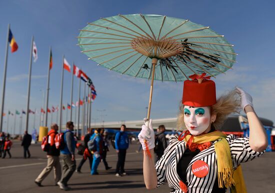 Russian fans in Olympic Park in Sochi