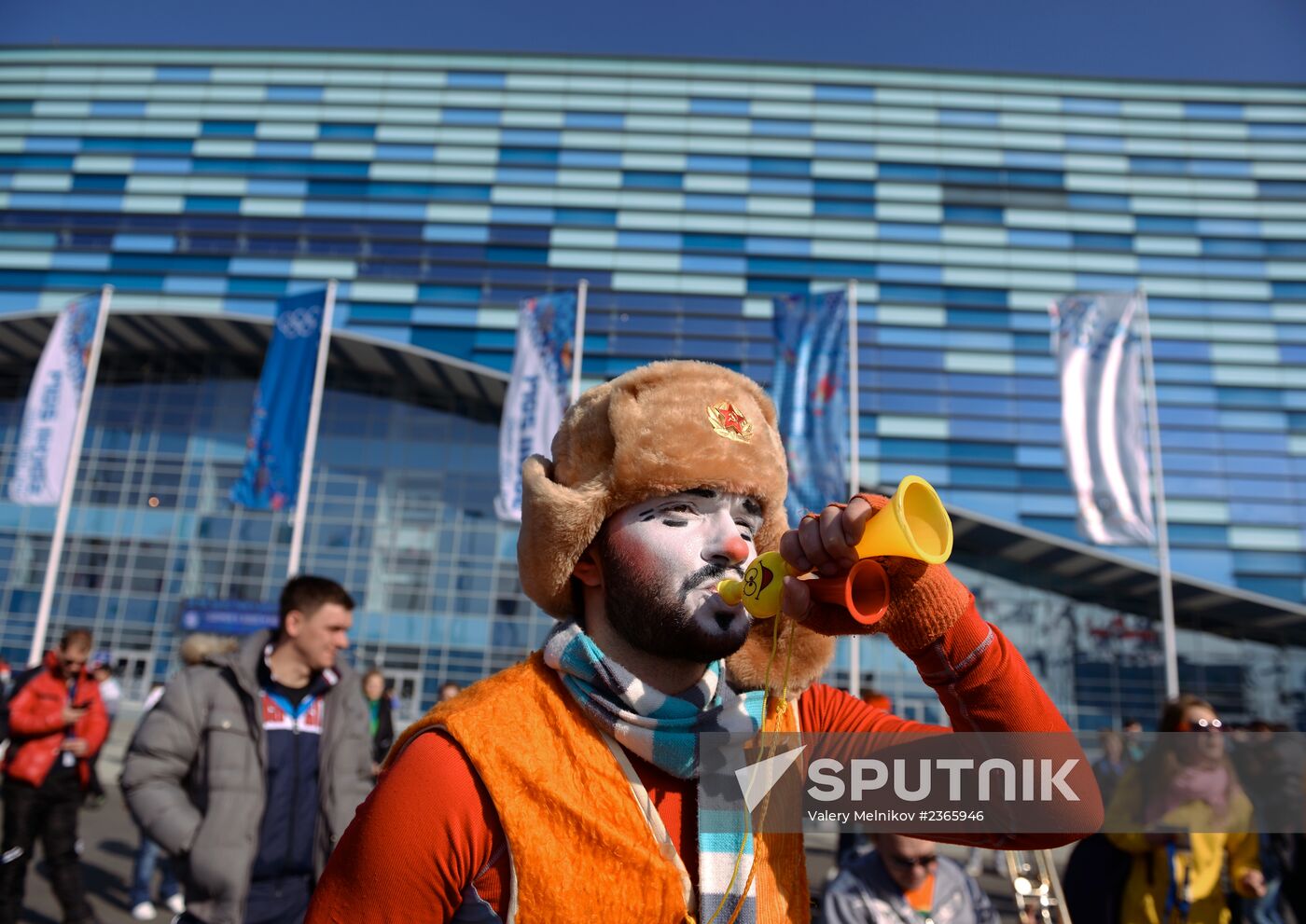 Russian fans in Olympic Park in Sochi