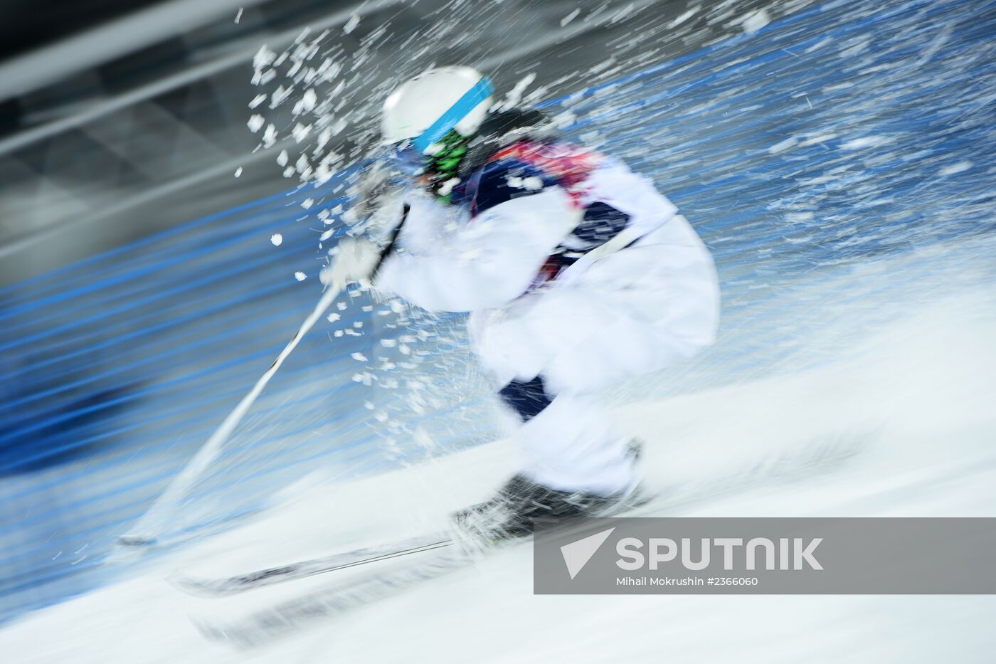 2014 Winter Olympics. Freestyle skiing. Men. Moguls