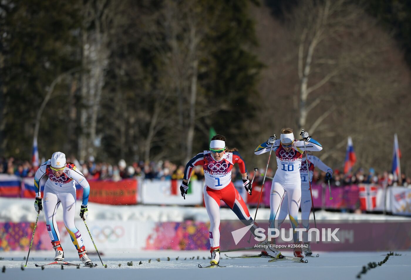 2014 Winter Olympics. Cross-country skiing. Women. Sprint