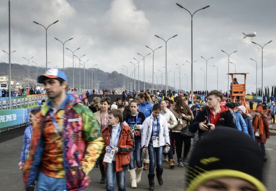 Fans in Sochi's Olympic Park